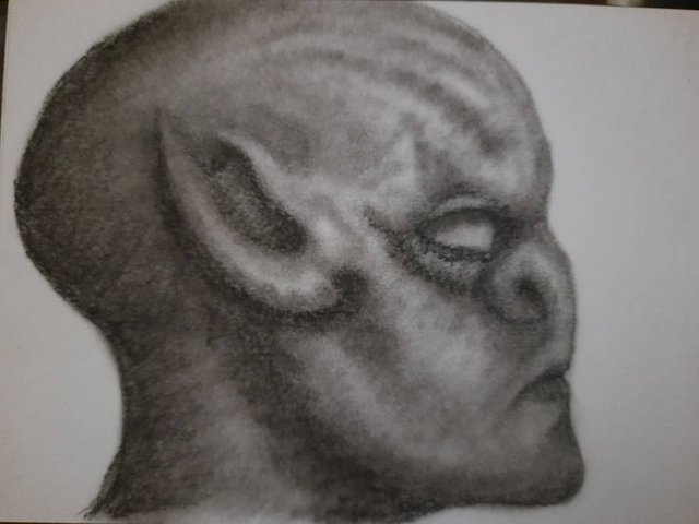 20250721_111249.jpg