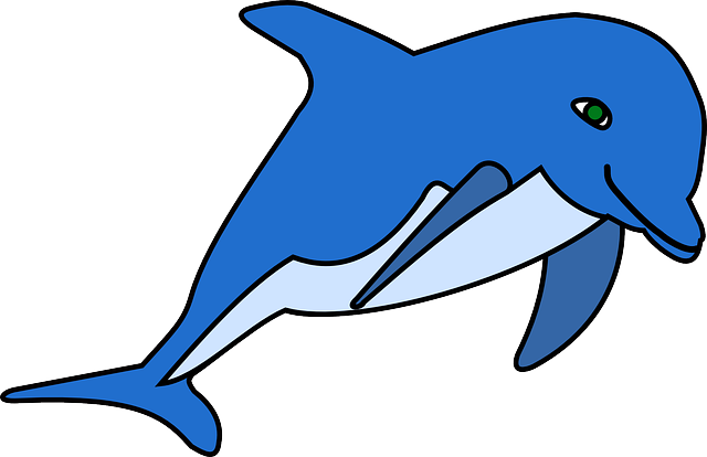 dolphin-159157_640.png