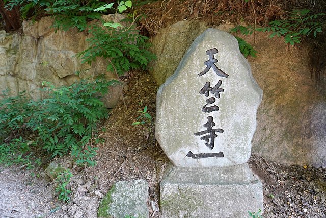 b-DSC08575.JPG