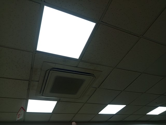 1000008183.jpg