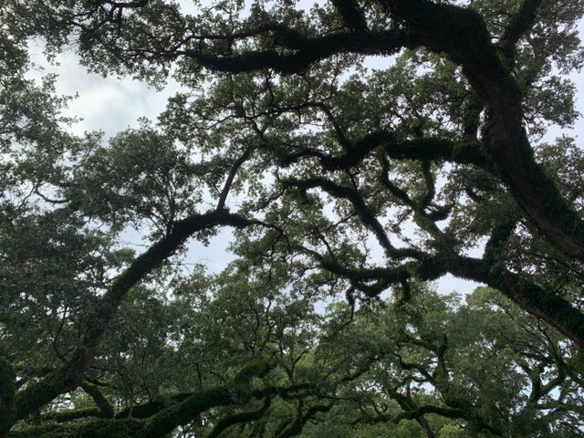 Whitney Plantation.jpg