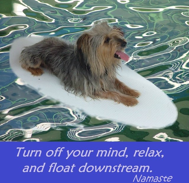 Foster's Wisdom Aqua Yoga Namaste.jpg