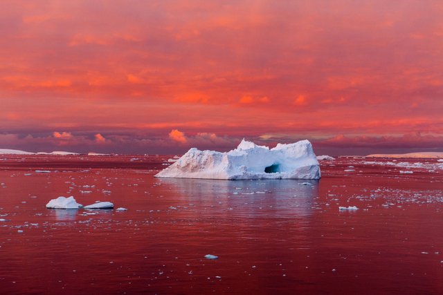 antarctic-melt-lemaire-channel-sunset (1).jpg