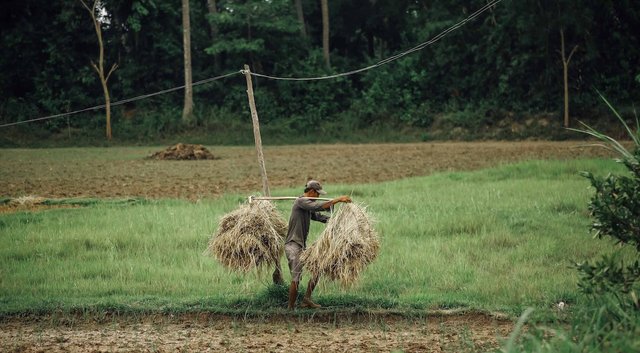 pexels-vietnam-photographer-14176565.jpg