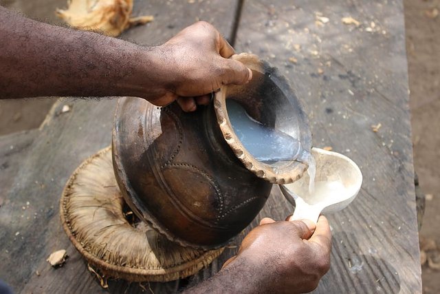 wine-palm-leaf-african-abidjan-restoration.jpg