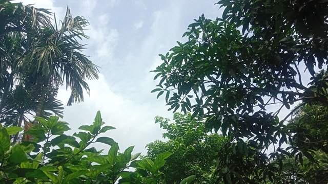 IMG_20250805_171126_176.jpg