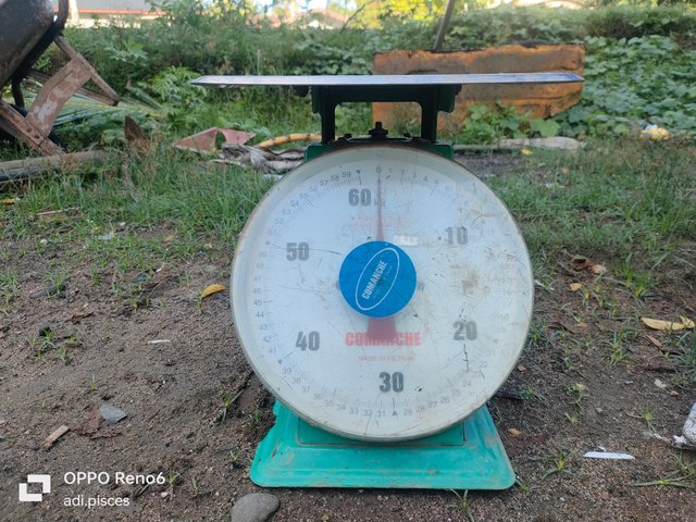 IMG20250717080024.jpg