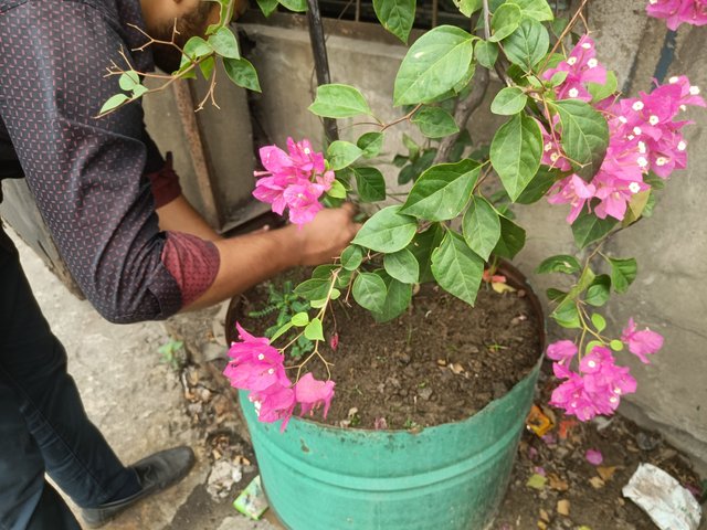 IMG20250519095405.jpg