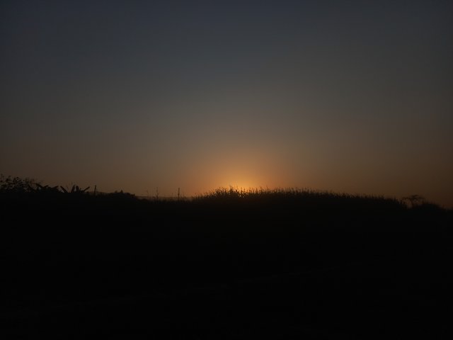 20250307_174148.jpg
