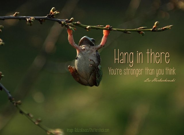 Hang-In-There-Card1-1024x750.jpg