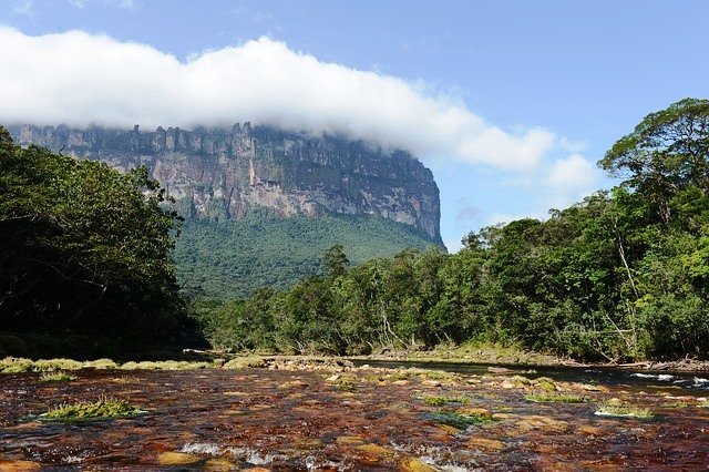 nature-3690643_640.jpg
