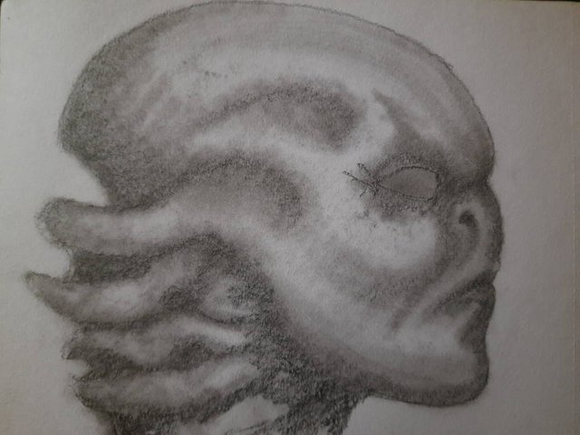 20250514_111008.jpg