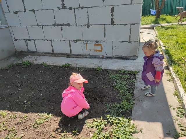 1000317555.jpg