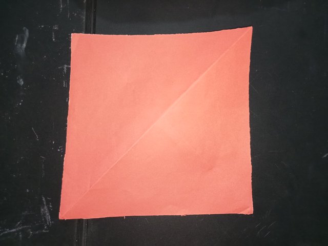 1000031543.jpg