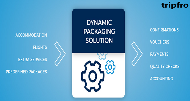 Dynamic Packaging Solutions.png