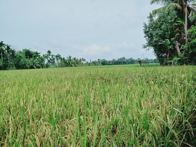 IMG20210621133848.jpg