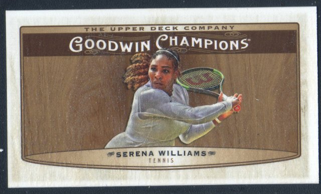 60_Serena_Williams_Brown_Lumberjack_Mini_Sp.JPG