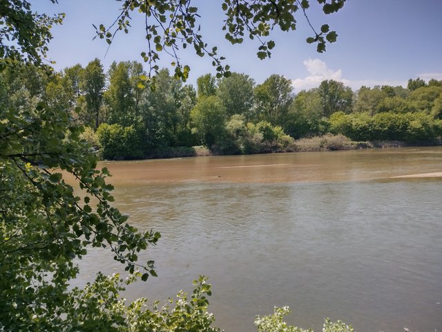 IMG_20250426_130909_HDR.jpg