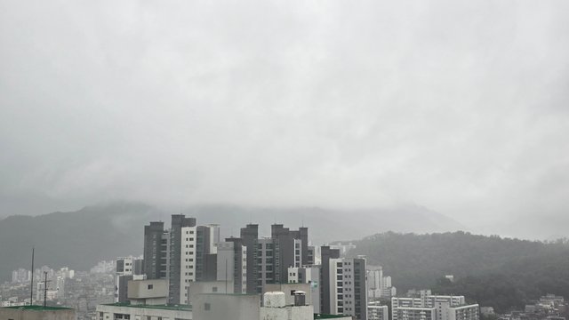 1000130730.jpg