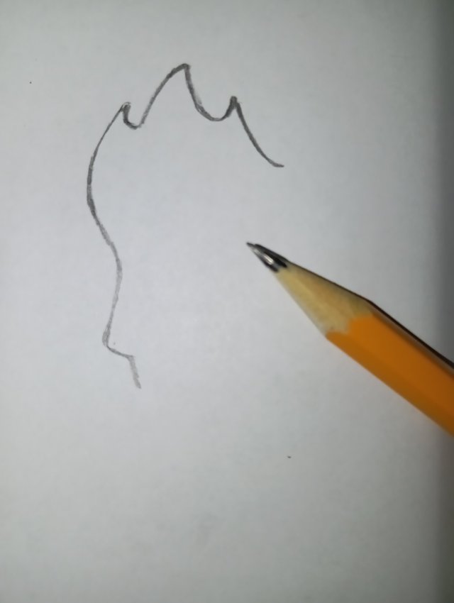 1000057525.jpg