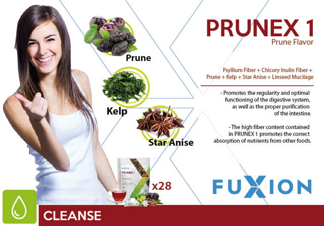 Flyer-PruneX-USA.png