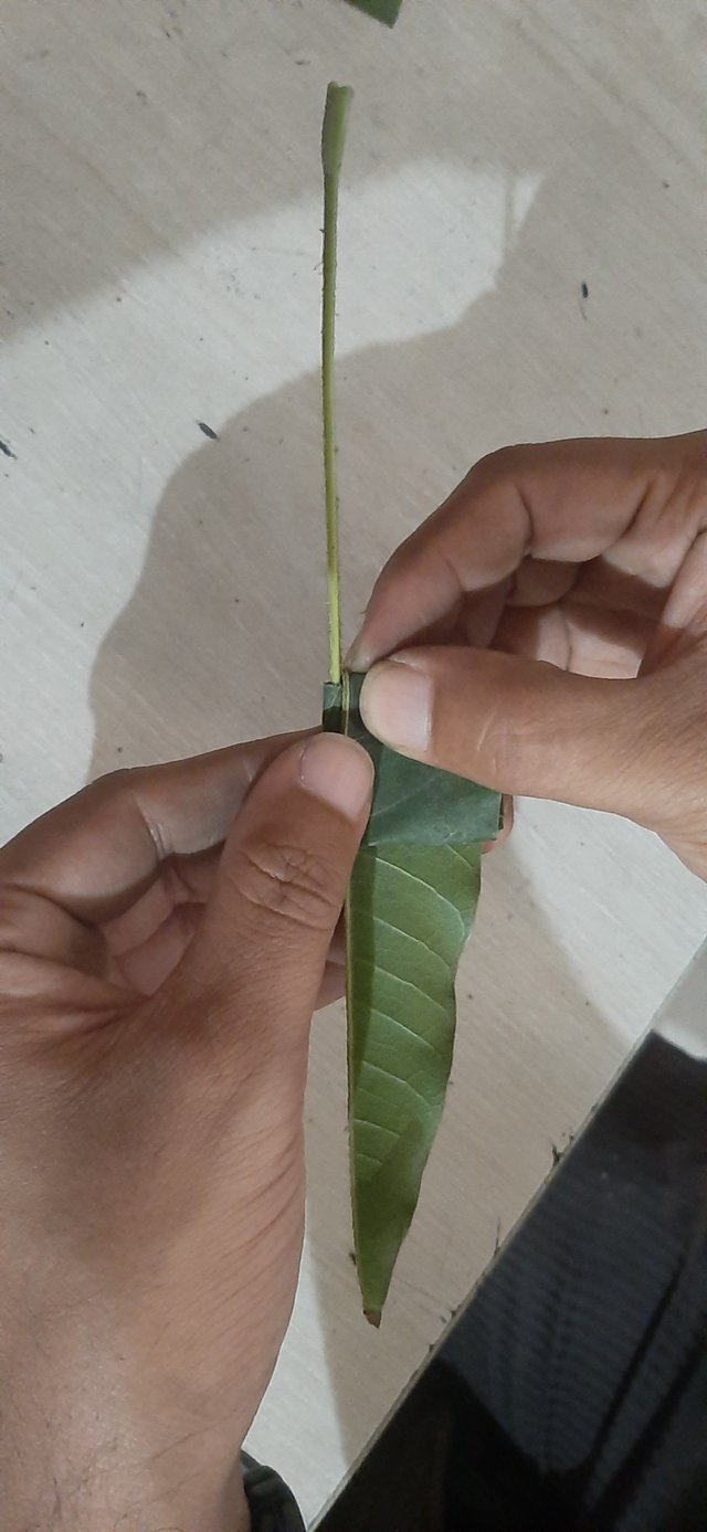 20230914_103057.jpg