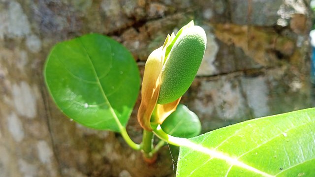 IMG20250604120750.jpg