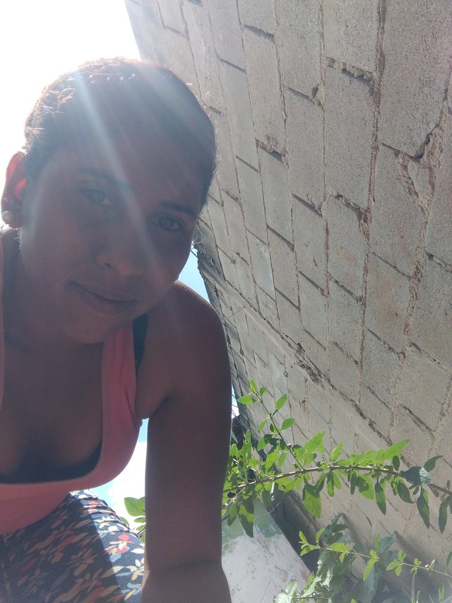 IMG_20210728_115316_1.jpg