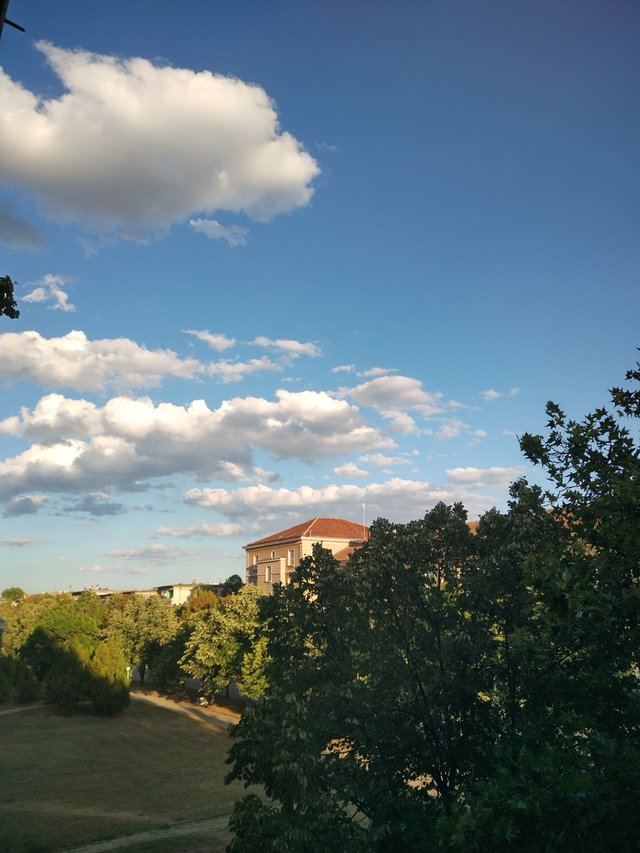 IMG_20250901_185531_HDR.jpg