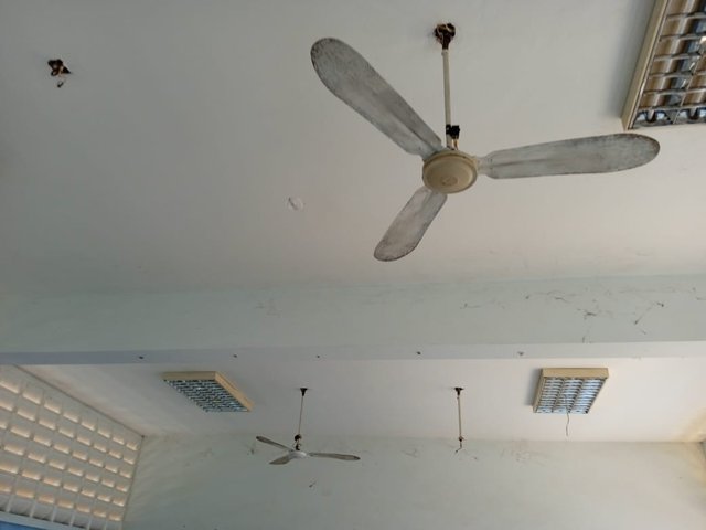 IMG-20250422-WA0015.jpg