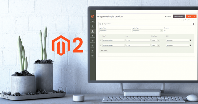 How-to-Remove-Customizable-Options-of-All-Products-Programmatically-in-Magento-2.png