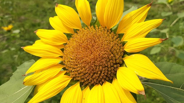 20210310_121244.jpg