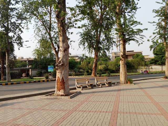 1000032982.jpg