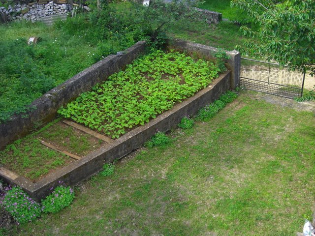 županje vrt ispred balkon pogled 2012..JPG