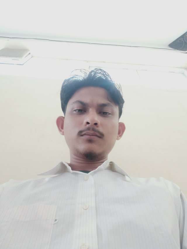 IMG20250317120359.jpg