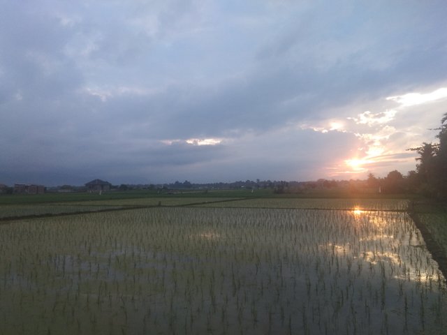 IMG_20210903_182355.jpg