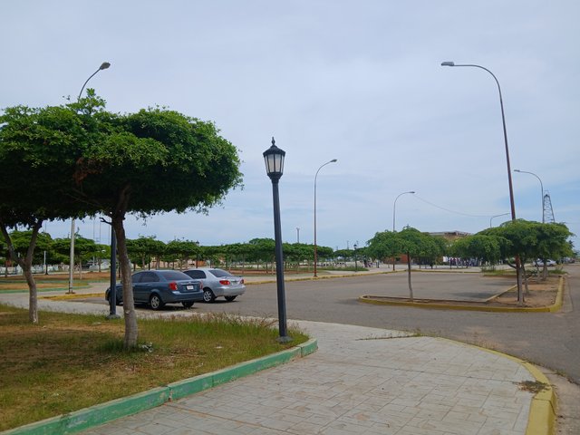 1001545369.jpg