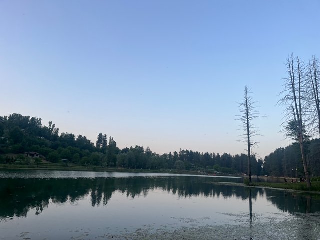 IMG_3844.jpeg