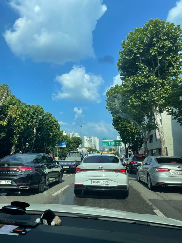 IMG_7831.jpeg