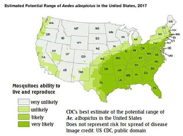 dengue map2 us albopictus cdc predictions 2017.jpg