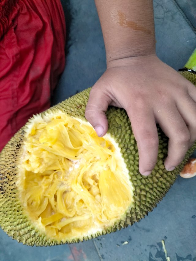 IMG20250704171554.jpg