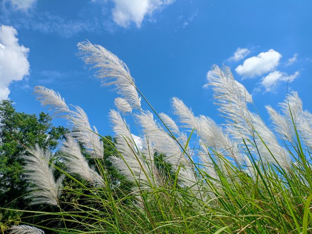 IMG20241007121914.jpg