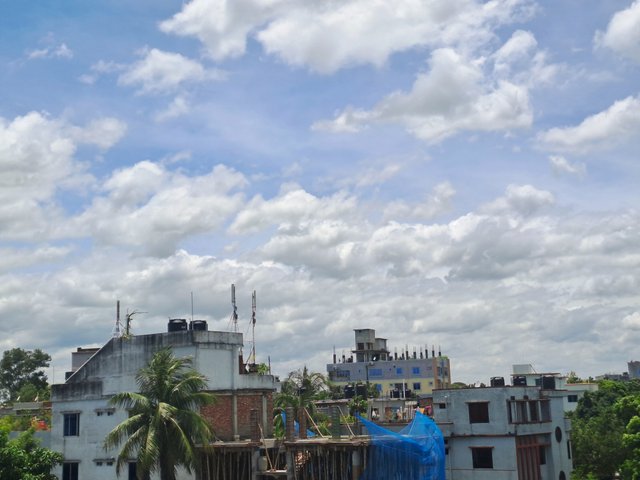 20250725_122435.jpg