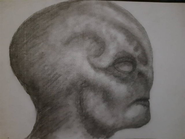 20250620_104745.jpg