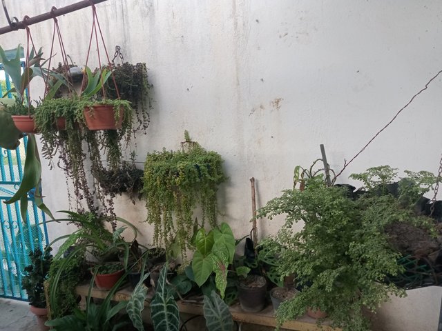 IMG_20250813_182150.jpg