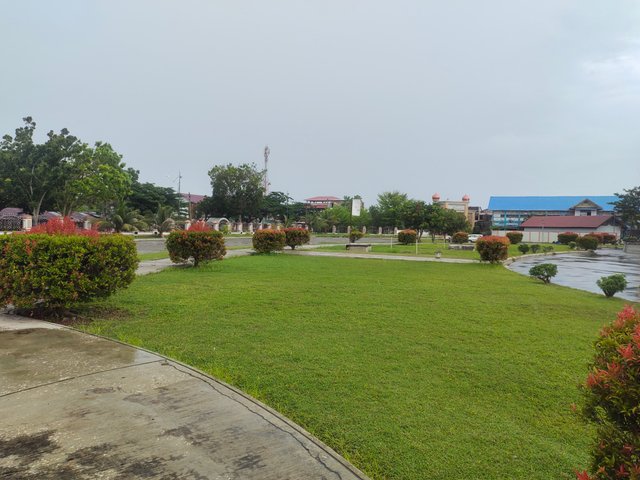IMG_20250515_121149.jpg