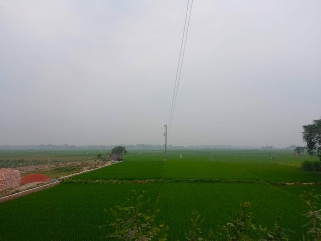 IMG_20250321_090856.jpg