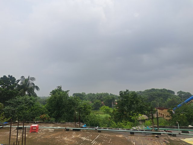 1000072481.jpg