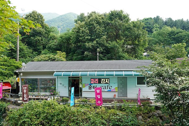 b-DSC07792.JPG