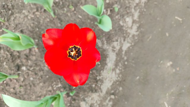 1000024871.jpg